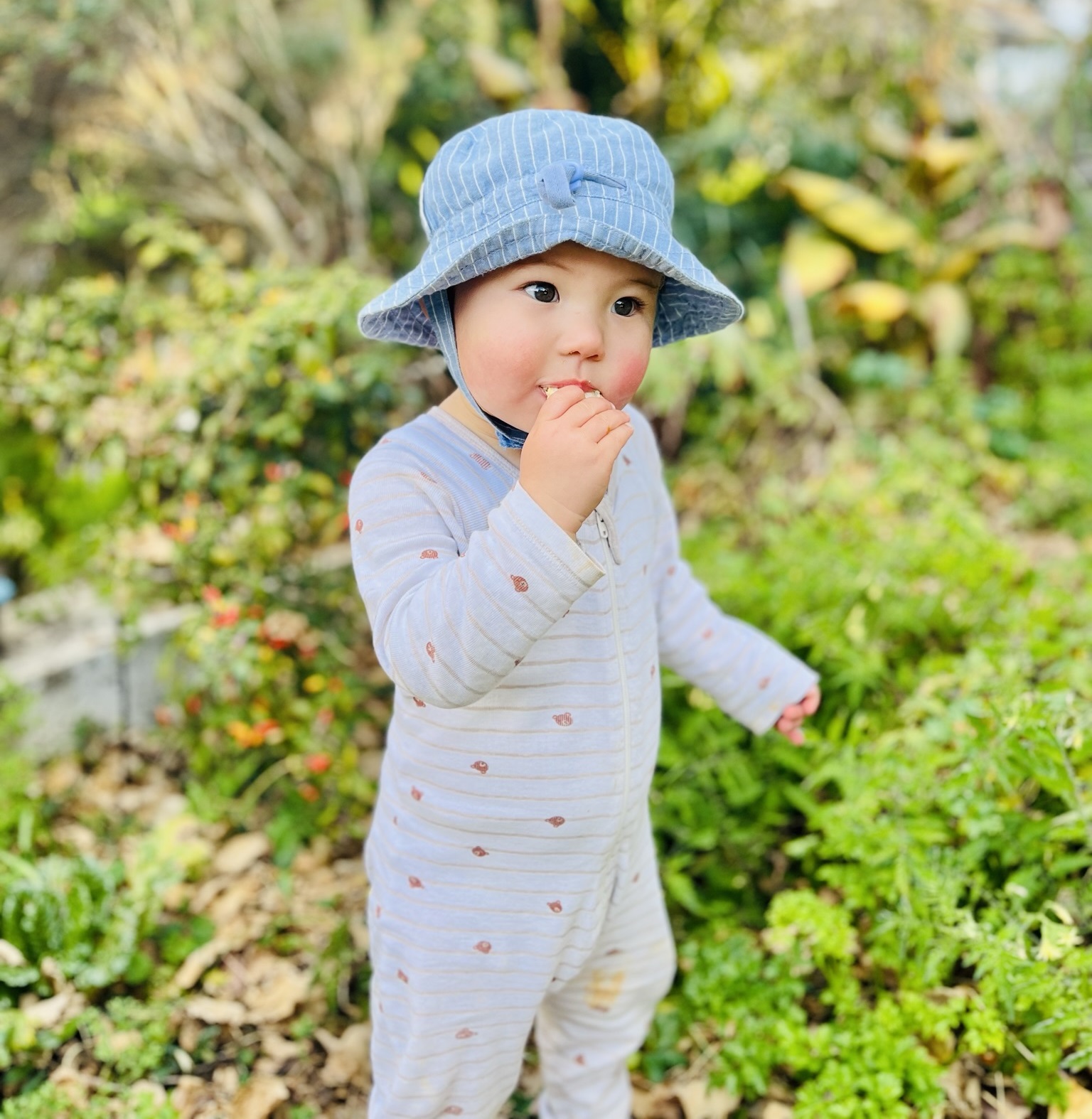 Daisy (Sydney, Australia)