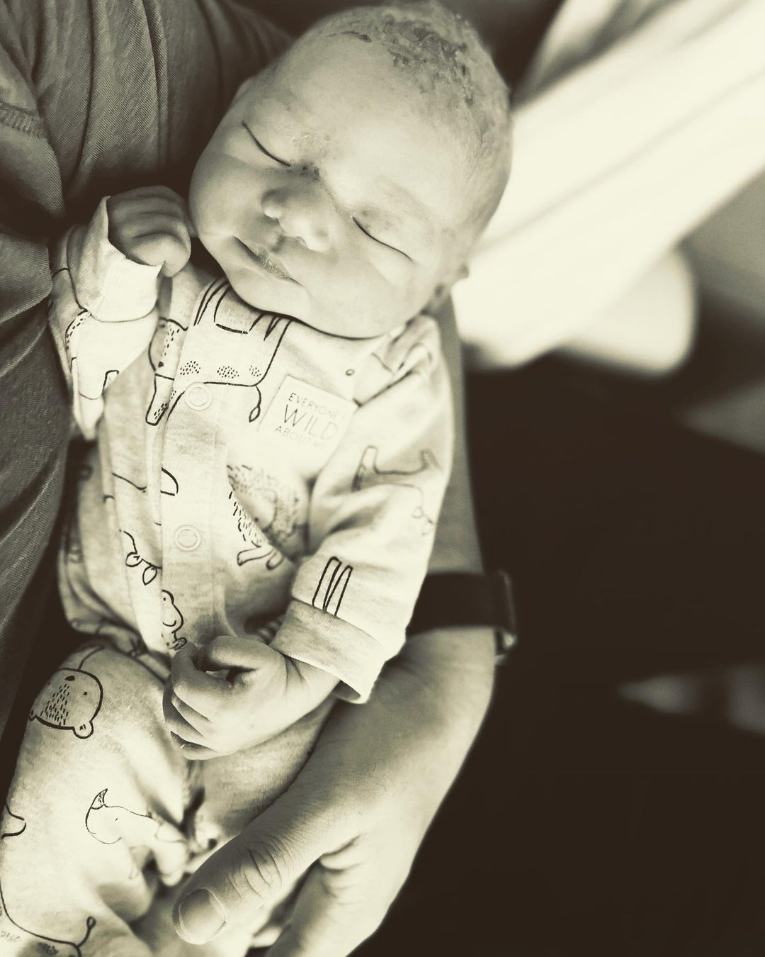 Zuki (Canberra, Australia)